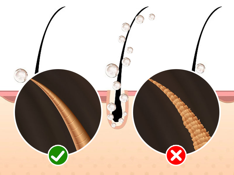 Uah Pet - FUR-EVER CLEAN Automatic Foaming Soap Dispenser and Dog Bath Brush