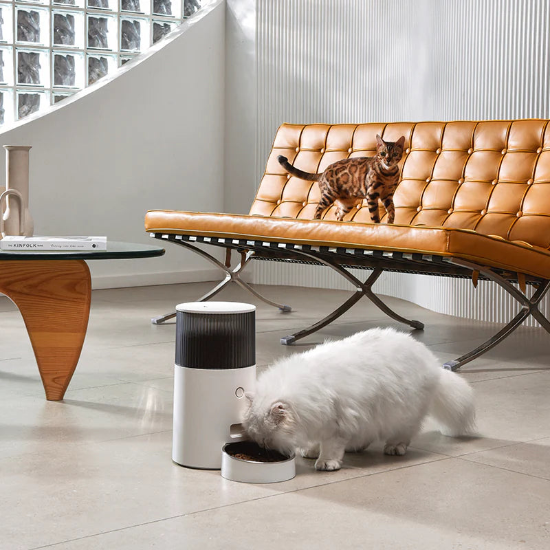 Pet Marvel - Automatic Cat Feeder MINI