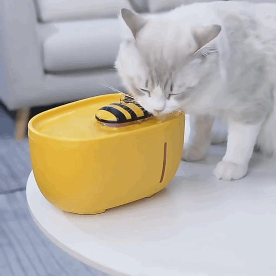 Little Bee Automatic Cat Water Fountain 2L