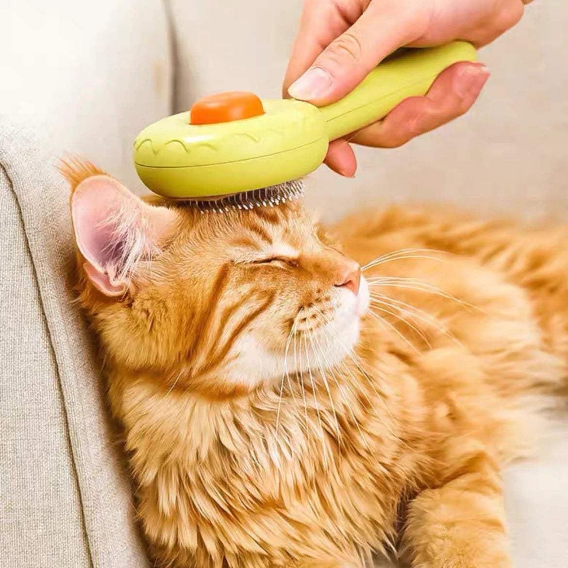 Self-Cleaning Pet Grooming One-Click Hair Brush - Donut