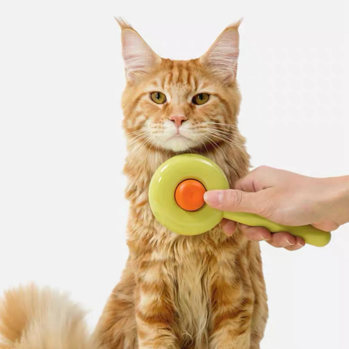 Self-Cleaning Pet Grooming One-Click Hair Brush - Donut
