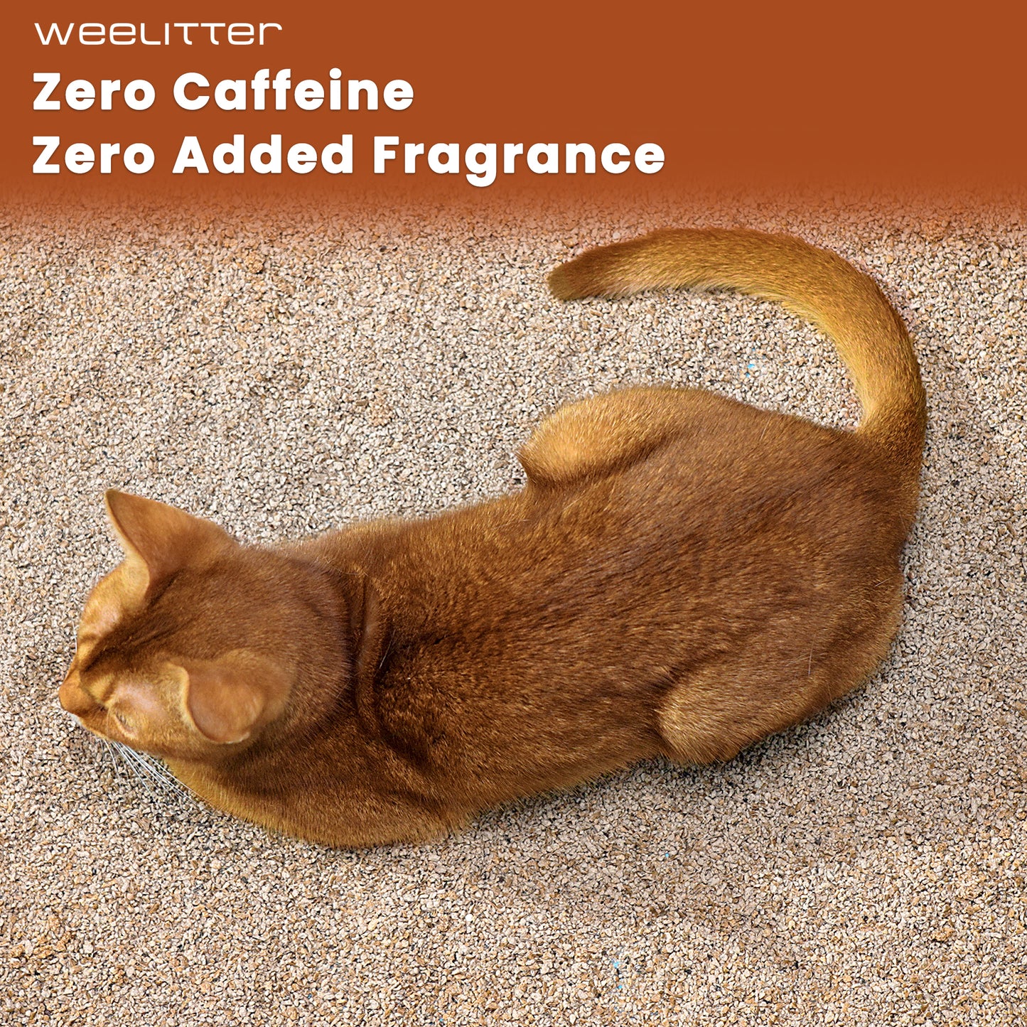 WeeLitter Coffee Cat Litter | Natural Flushable-Housebreaking Extra Clumping Pellet Litter | Dust Free Cat Litter | Ultra Absorbent Water Flushable (14lb)