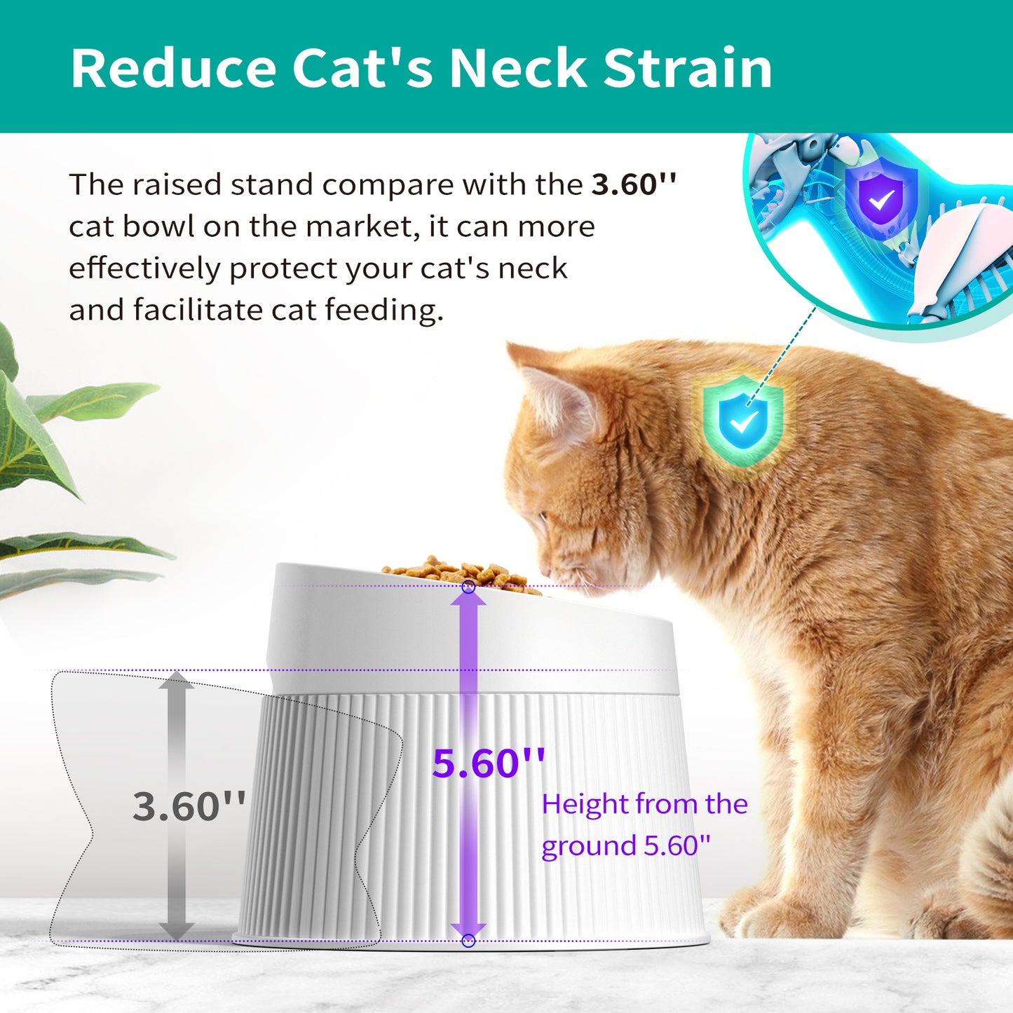 Uah Pet - Elevated Cat Bowls