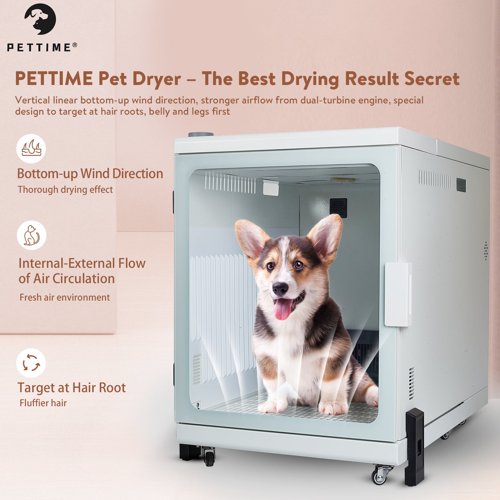 Best hotsell pet dryer