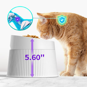 Uah Pet - Elevated Cat Bowls