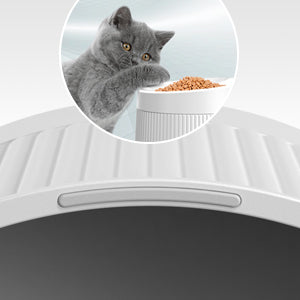 Uah Pet - Elevated Cat Bowls