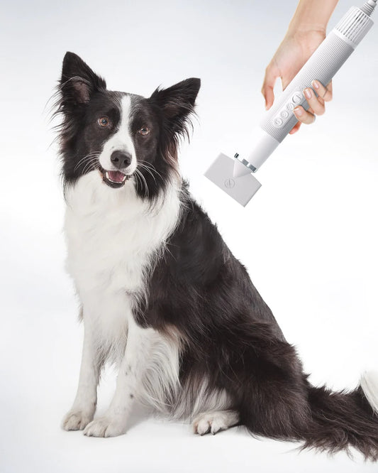 Uah Pet Fluffy-1 High-Velocity Dog Hair Dryer