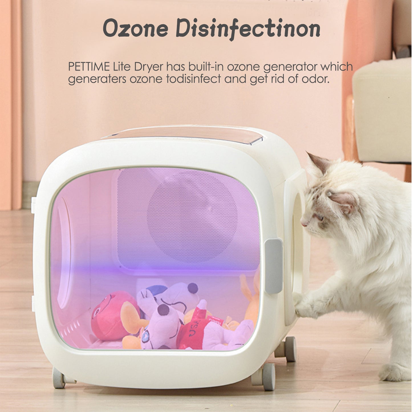 PETTIME Dryer Box Lite