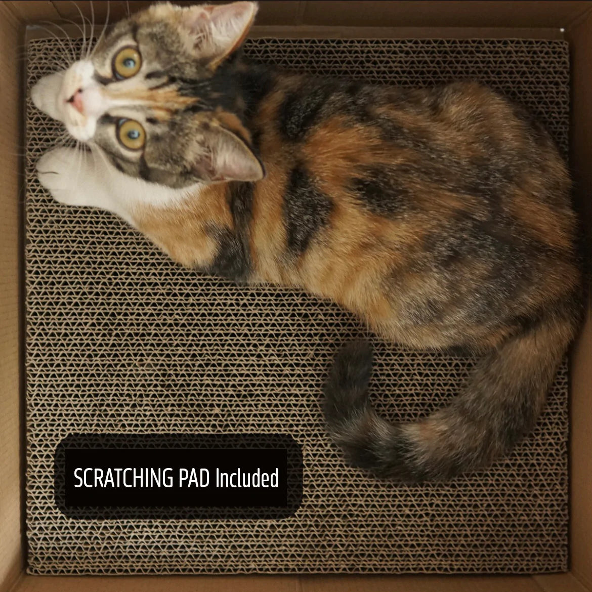 Cat Scratcher Box House With Scratching Pad
